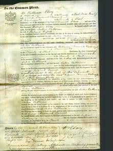 Court of Common Pleas - Julia Catherine Russell-Original Ancestry