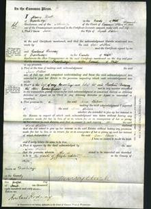 Court of Common Pleas - Jane Hillier-Original Ancestry