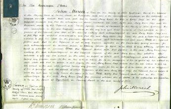 Court of Common Pleas - Mary Ann Boys-Original Ancestry