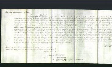 Court of Common Pleas - Ann Philps-Original Ancestry