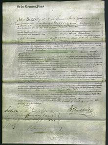 Court of Common Pleas - Sarah Helincken-Original Ancestry
