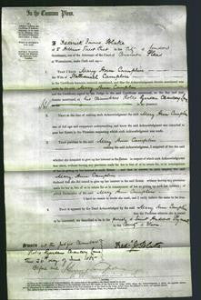 Court of Common Pleas - Mary Ann Camplin-Original Ancestry