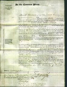 Court of Common Pleas - Rebecca Blanchard-Original Ancestry