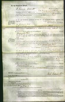 Court of Common Pleas - Susannah Price-Original Ancestry