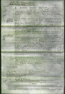 Court of Common Pleas - Grace Fletcher-Original Ancestry