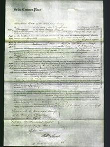 Court of Common Pleas - Ann Nix and Mary Watson-Original Ancestry