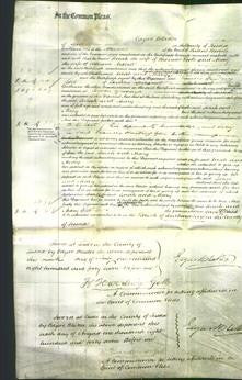 Court of Common Pleas - Sarah Poole and Mary Arkcoll-Original Ancestry