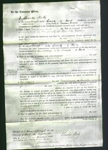 Court of Common Pleas - Marianne Sarah Robertson-Original Ancestry