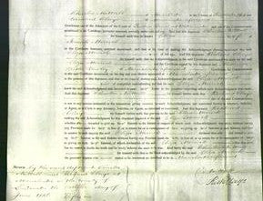 Court of Common Pleas - Eliza Merrick-Original Ancestry
