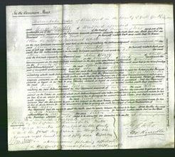 Court of Common Pleas - Ellen White-Original Ancestry