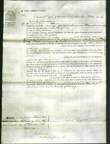 Court of Common Pleas - Mary Ann Osborn-Original Ancestry