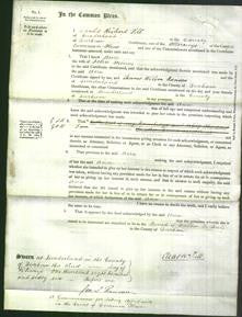 Court of Common Pleas - Ann Minns-Original Ancestry