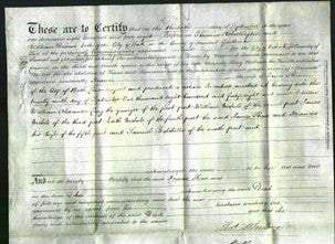 Court of Common Pleas - Frances Shaw-Original Ancestry