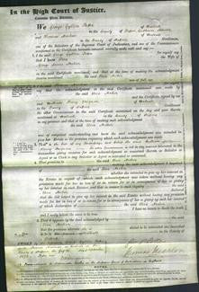 Court of Common Pleas - Eliza Archer-Original Ancestry