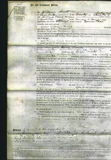 Court of Common Pleas - Ellen Margaret Bircham-Original Ancestry