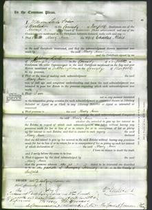 Court of Common Pleas - Mary Ann Aldis-Original Ancestry