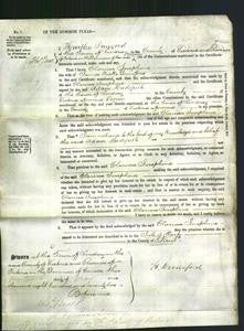 Court of Common Pleas - Clarissa Josephine Dunsford-Original Ancestry