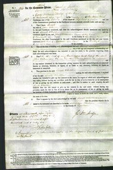 Court of Common Pleas - Sarah Wheldon-Original Ancestry