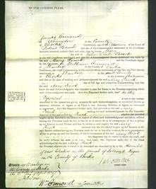 Court of Common Pleas - Mary Pocock-Original Ancestry