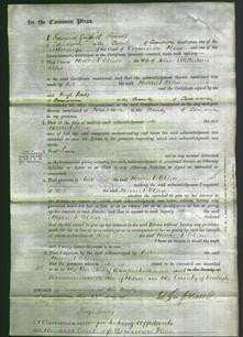 Court of Common Pleas - Harriet Ellen Ellis-Original Ancestry