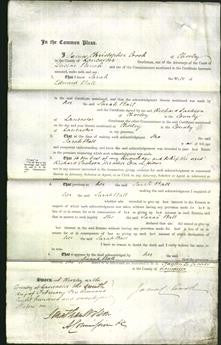 Court of Common Pleas - Sarah Ball-Original Ancestry