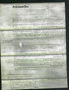 Court of Common Pleas - Mary Workman-Original Ancestry