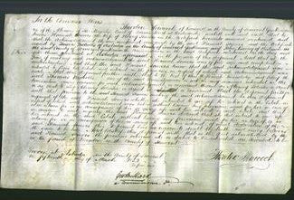 Court of Common Pleas - Hannah Somers-Original Ancestry