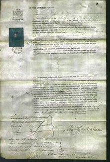 Court of Common Pleas - Sarah Elizabeth Deane-Original Ancestry