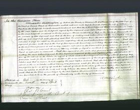 Court of Common Pleas - Sophia Powell-Original Ancestry