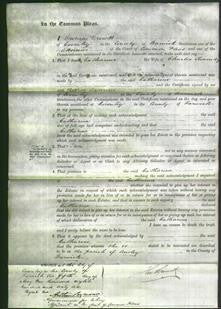 Court of Common Pleas - Catharine Swarnley-Original Ancestry