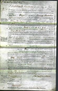 Court of Common Pleas - Eliza Bradshaw-Original Ancestry