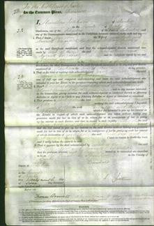 Court of Common Pleas - Mary Ann Hyde and Harriett Elizabeth Crowley-Original Ancestry