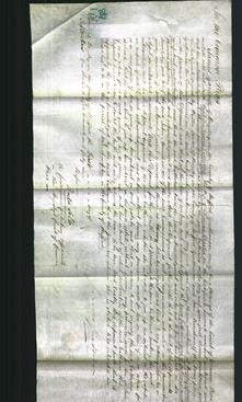 Court of Common Pleas - Catherine Charles-Original Ancestry