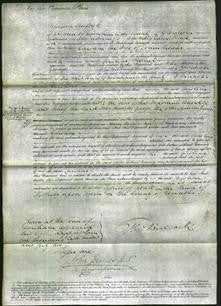 Court of Common Pleas - Caroline Palmer-Original Ancestry