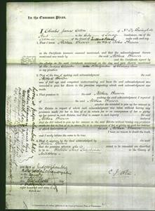 Court of Common Pleas - Althea Brewer-Original Ancestry