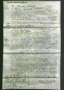 Court of Common Pleas - Elizabeth Carruthers and Harriett Taylor-Original Ancestry