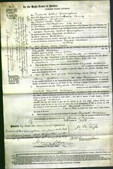 Court of Common Pleas - Elizabeth Wiltshire Debenham-Original Ancestry