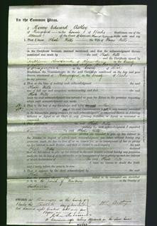 Court of Common Pleas - Phoebe Wells-Original Ancestry