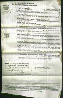 Court of Common Pleas - Eliza Jarvis-Original Ancestry