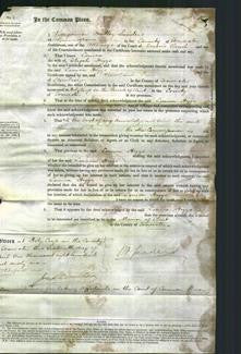 Court of Common Pleas - Louisa Higgs-Original Ancestry