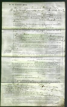 Court of Common Pleas - Ann Bunn-Original Ancestry