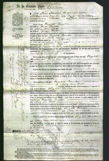 Court of Common Pleas - Elizabeth Housden, Mary Ann Cribb-Original Ancestry