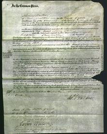 Court of Common Pleas - Mary Stelling-Original Ancestry