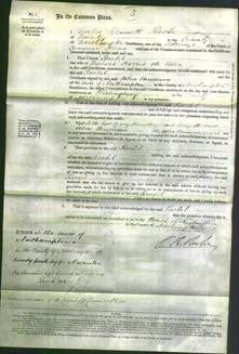 Court of Common Pleas - Rachel Harris-Original Ancestry