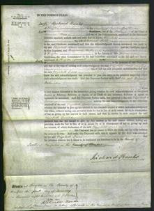 Court of Common Pleas - Elizabeth Lewis-Original Ancestry