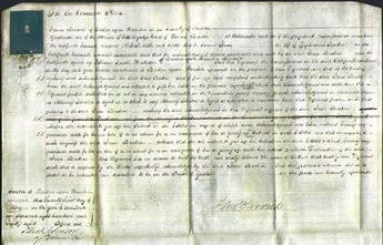 Court of Common Pleas - Jane Barton-Original Ancestry
