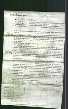 Court of Common Pleas - Mary Troughton-Original Ancestry