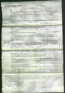 Court of Common Pleas - Eliza Winearls-Original Ancestry