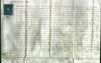 Court of Common Pleas - Elizabeth Deards-Original Ancestry