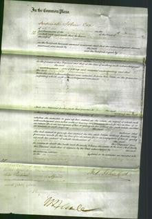 Court of Common Pleas - Elizabeth Catt